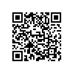 D55342E07B243ERWS QRCode