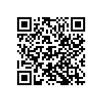 D55342E07B267ERWS QRCode