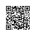 D55342E07B348ERWS QRCode