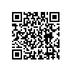 D55342E07B3B28RWS QRCode