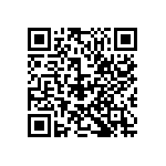 D55342E07B470GMTP QRCode