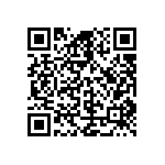 D55342E07B4B02RWS QRCode