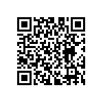 D55342E07B523BPWS QRCode