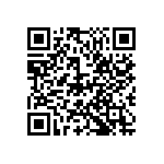 D55342E07B80B6RTP QRCode