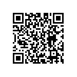 D55342E07B84D5RWS QRCode