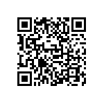 D55342E07B887ERWS QRCode