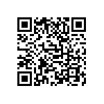 D55342E07B9B31RTP QRCode