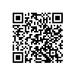 D55342H07B330GRWS QRCode