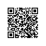 D55342H07B38B3RWS QRCode