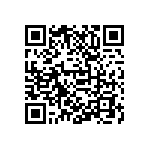 D55342H07B681ERWS QRCode