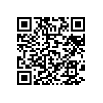 D55342K07B27E0PWSV QRCode