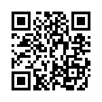 DAC2904IPFB QRCode