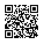 DBMG13X3PJK87 QRCode