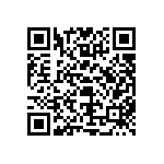 DBMT13W3S0L4A191A197 QRCode