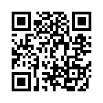 DE9P0L4A191K87 QRCode