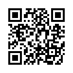 DF38076RLP4V QRCode