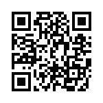 DF38799FP10WV QRCode