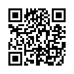 DF3E-2P-2H-20 QRCode