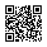 DF3E-4P-2H-21 QRCode