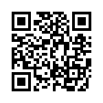 DJT10E13-98JB QRCode