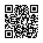 DM1303384 QRCode