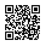 DP241-4-36A17 QRCode