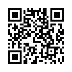 DSEP2X101-04A QRCode