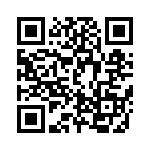 DSEP2X31-03A QRCode