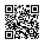 DT150PW203P QRCode