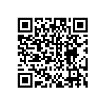 DW-02-13-T-S-984 QRCode