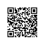 DW-03-11-T-D-613 QRCode