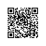 DW-03-13-L-S-691 QRCode