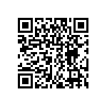 DW-04-07-G-S-311 QRCode