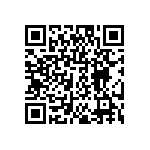 DW-04-07-T-S-213 QRCode