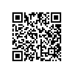 DW-04-09-G-D-295 QRCode