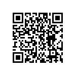 DW-04-09-T-S-319 QRCode