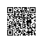 DW-04-13-T-S-838 QRCode