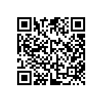 DW-04-16-F-S-335-001 QRCode