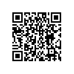 DW-04-17-T-S-213 QRCode