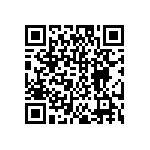 DW-04-17-T-S-250 QRCode