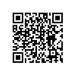 DW-04-19-T-D-300 QRCode