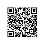 DW-05-08-F-S-295 QRCode