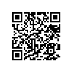 DW-06-09-T-S-370 QRCode