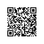 DW-06-15-F-S-295 QRCode