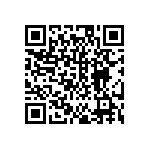 DW-08-13-T-S-944 QRCode