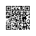 DW-09-07-S-S-300 QRCode