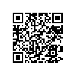 DW-09-09-T-S-300 QRCode