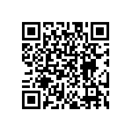 DW-10-09-T-S-384 QRCode