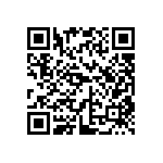 DW-12-13-G-S-787 QRCode