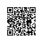 DW-12-17-T-D-295 QRCode